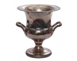Silver Champagne Buckets