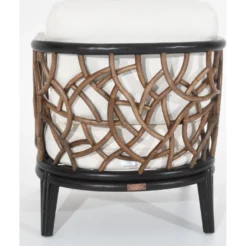 Trini Chair — vintage barrel-back accent chair, back view showing curved wooden frame