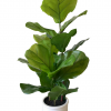 Fake fiddle leaf plant