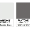 Pantone colors for this rug - blanc de blanc and charcoal gray