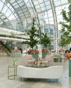 Back of the sofa at the cocktail hour