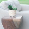 View of the side of a white modern sofa with a curved side table. Table has a square flat top and is holding a succulent plant in a white pot.