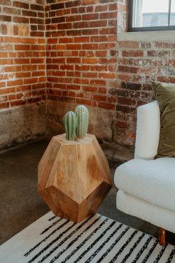 A solid wooden geometric side table with a cactus on top