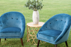 Two blue velvet chairs of mid-century modern style. Round rattan side table in between with a plant in a white vase on the table.