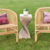 Two rattan natural wood colored chairs with pink pillows on each. Curved side table in between with plant in white vase. Outside on grass.