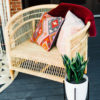 Oversided rattan chair on a deck. Two pillows and a throw over the edge. Snake plant in a white vase next to the chair.