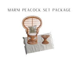 Peacock chair with a rattan side table and a white rug and gold pillow