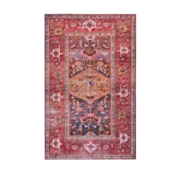 4x6 foot rug with floral patterns around boarder and design in the center. Hues of red with blue, cream and other neutral hues.