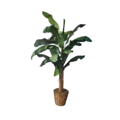 Faux banana plant with wide leaves standing over 7 feet tall. Brown pot.