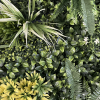 Detail on the greenery wall with texture, colors, and depth