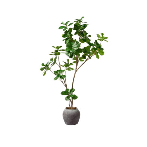 6 foot artificial fig tree with brown branches, dark green leaves and a slate gray pot.