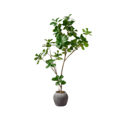 6 foot artificial fig tree with brown branches, dark green leaves and a slate gray pot.