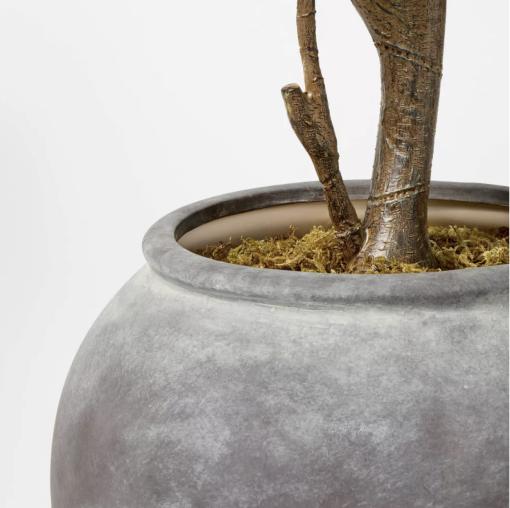 Round slate gray pot with brown tree stem