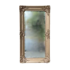 Vintage gold ornate mirror