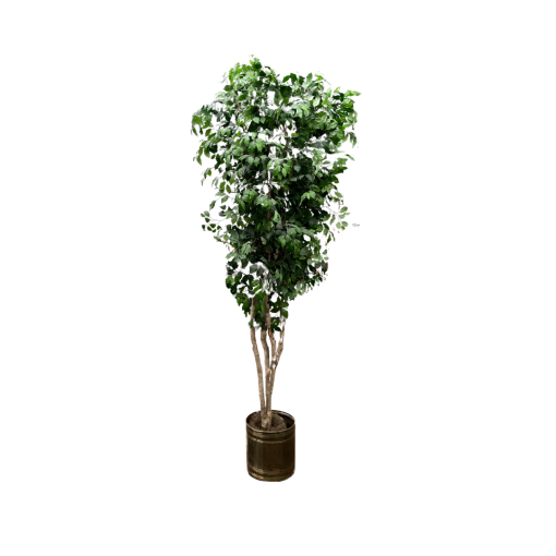 9 foot fall artificial ficus tree with small leaves in a gold pot