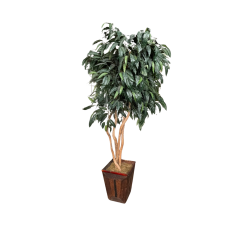 Bushy tree with dark green leaves and a neutral pot