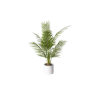 A white vase with a small green tabletop palm plant.