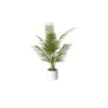 A white vase with a small green tabletop palm plant.