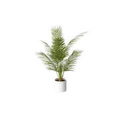 A white vase with a small green tabletop palm plant.