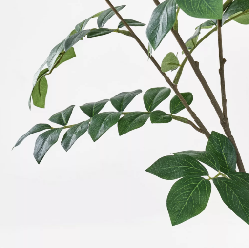 close up of tree - small green leaves on brown stem