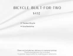 Description of package.