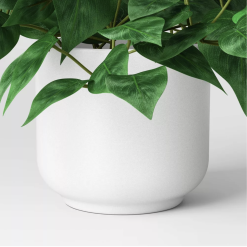 Closeup of white pot