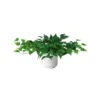 Green plant with many leaves in a white pot. Tabletop.