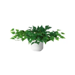 Green plant with many leaves in a white pot. Tabletop.
