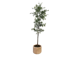 Faux tree in cream pot.