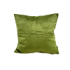 Green Velvet Pillow