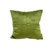 Green Velvet Pillow