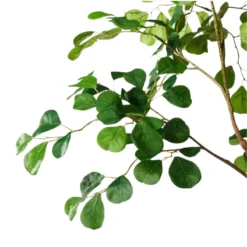 Olivia Faux Ficus Tree close-up detail of realistic heart-shaped green leaves